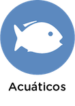 informacion peces animales, blog de animales, animales salvajes, curiosidades de animales Animales peces