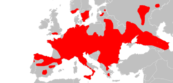 Culebra lisa europea distribucion
