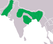 gavial indio distribucion