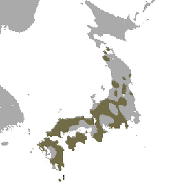 macaco japones distribucion