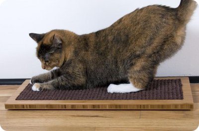 Rascadores-para-gatos-son-necesarios-ejemplos ¿Por qué los gatos tienen la manía de arañar? ¿Por qué los gatos tienen la manía de arañar? Rascadores para gatos son necesarios ejemplos
