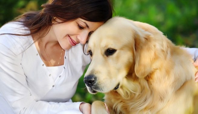 Los-perros-se-acercan-a-consolarnos-si-nos-ven-tristes ¿Por qué los perros quieren tanto a sus dueños? ¿Por qué los perros quieren tanto a sus dueños? Los perros se acercan a consolarnos si nos ven tristes