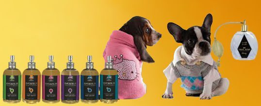perfumes-para-perros Colonia para perros. Colonia para perros perfumes para perros