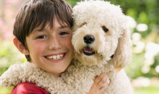 alergia_perros Buscacucha, la red social de adopción entre personas y perros Buscacucha, la red social de adopción entre personas y perros alergia perros