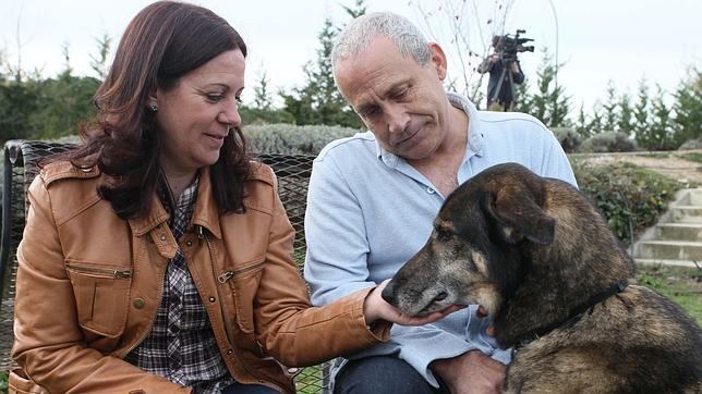 chacho-perro-adoptado-madrid--644x362 Siete años esperando a ser adoptado Siete años esperando a ser adoptado chacho perro adoptado madrid