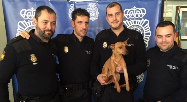 31 (5) Unos policías salvana un perro y le pagan la operación para que no se quede cojo Unos policías salvana un perro y le pagan la operación para que no se quede cojo 31 5