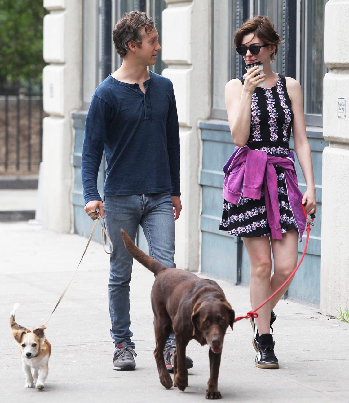 anne-hathaway-dogs