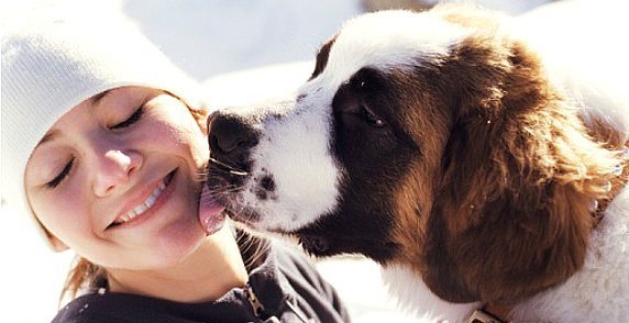 dog_licks Un beso de nuestro perro mejora nuestra salud Un beso de nuestro perro mejora nuestra salud dog licks