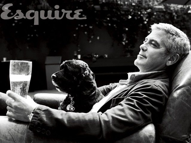 george-clooney-adopted-dog Famosos que han adoptado animales Famosos que han adoptado animales george clooney adopted dog