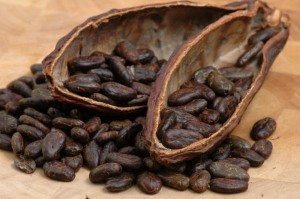 cacao-chocolate Cacao Cacao cacao chocolate