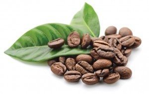 cafe salud planta