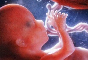 imagen-cuarto-mes-embarazo hacer sexo durante el embarazo Hacer sexo durante el embarazo: evolución trimestral imagen cuarto mes embarazo