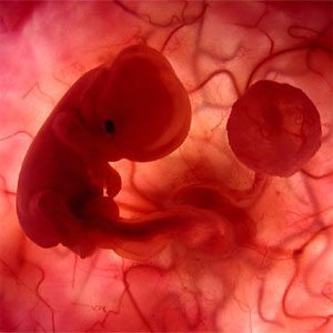 primer trimestre hacer sexo durante el embarazo Hacer sexo durante el embarazo: evolución trimestral primer trimestre