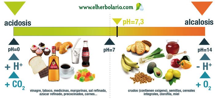 acidosis-ph La importancia del ph en la alimentación La importancia del ph en la alimentación acidosis ph elherbolario