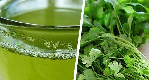 hinojo y cilantro salud, dietas Agua de cilantro e hinojo: Purifícate hinojo y cilantro
