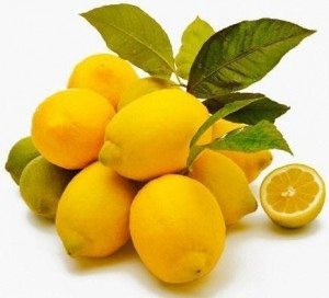 limonero