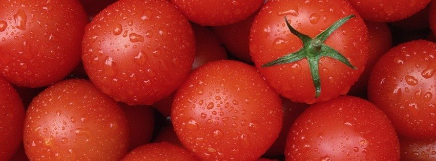 tomate 6 razones para comer tomate 6 razones para comer tomate tomate