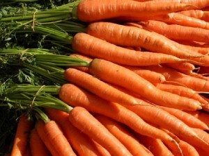 zanahoria Zanahoria Zanahoria zanahoria