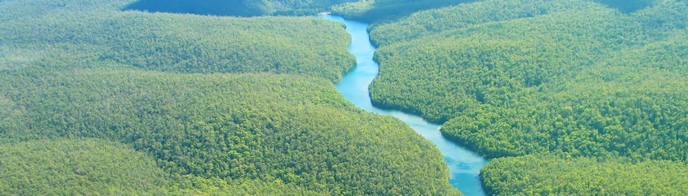 Amazonas río