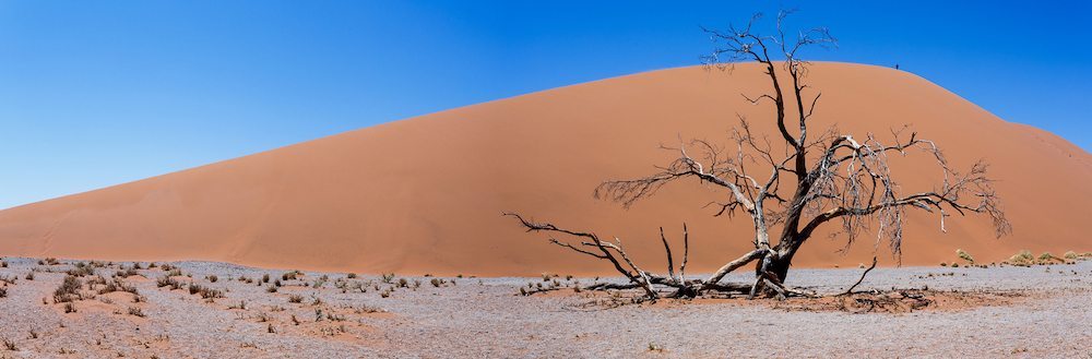 Namibia duna 45 El Desierto del Namibia El Desierto del Namibia namibia desierto duna 45