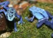 comida dendrobates