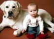 perro y bebe