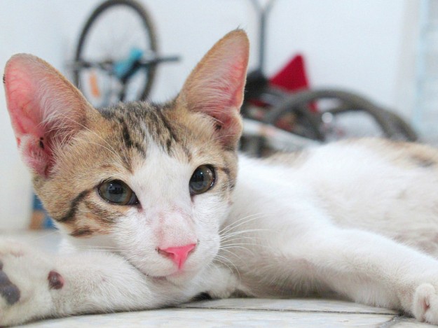 am_79227_6380990_871961