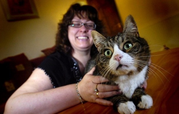 gato-se-traga-diamantes