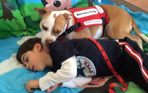 Captura de pantalla 2015-03-02 a la(s) 12