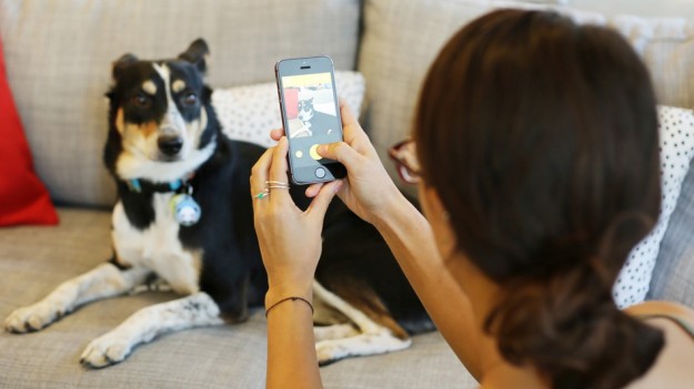 BarkCam4