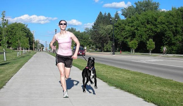 Salir-a-correr-con-perro