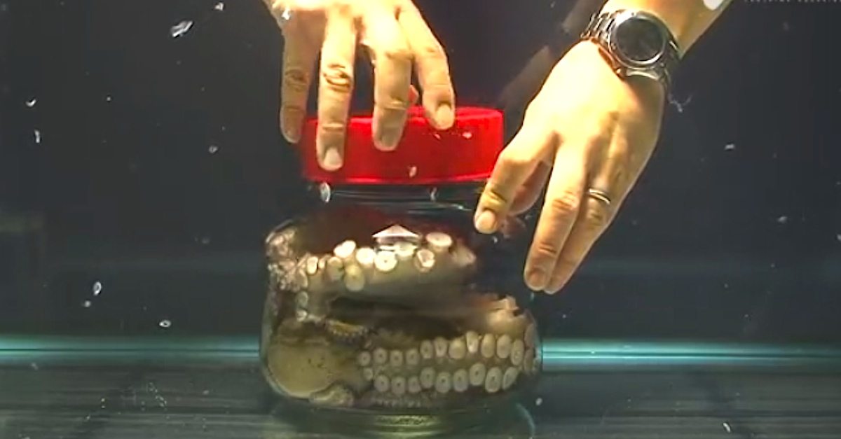 Screen-Shot-2015-01-04-at-9.42.05-AM