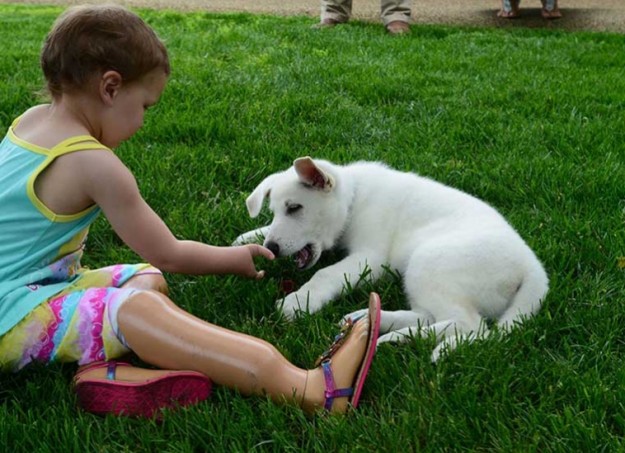 nina-sin-pies-perro-sin-pata-02-m870qp1tdlzl0umpft69vbwsfn3aj9k7fwou84hvr0