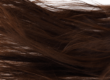 cabello