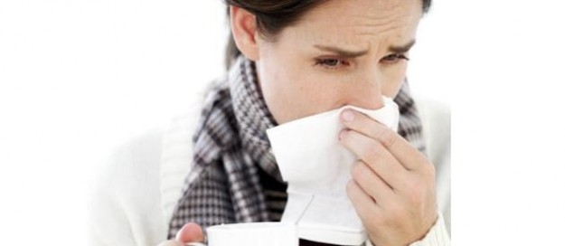 gripe_estacional gripe_estacional