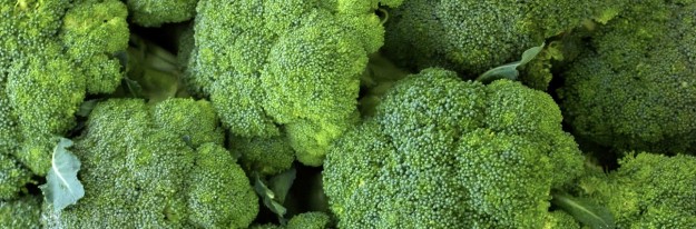 brocoli brocoli planta