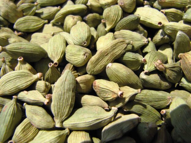 cardamomo