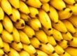 platano