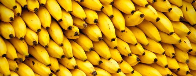 platano platano