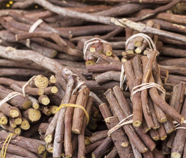 regaliz regaliz planta