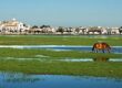 doñana parque nacional