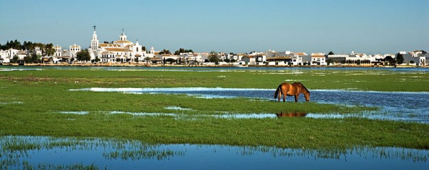 doñana parque nacional doñana parque nacional