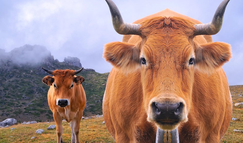 Parque Nacional Somiedo Viajar Parque Nacional Somiedo