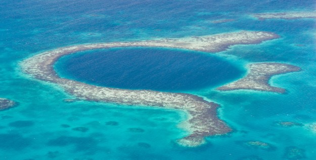 Belice coral Belice coral