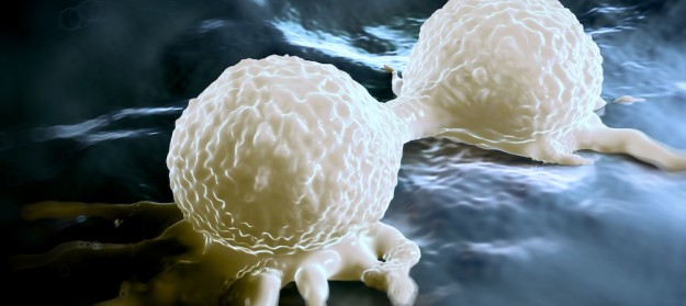 Radicales libres Radicales libres