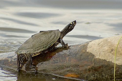 2531101284_8d67fac9ff