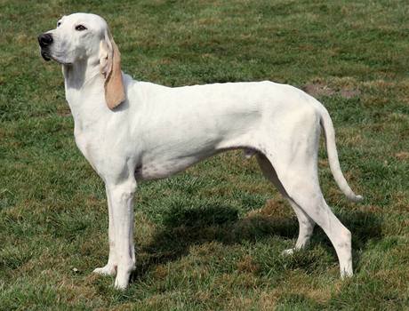 TYN2f8b9d_porcelaine_3